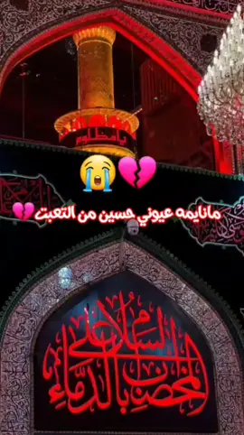 #رضا  ـ ا لاراكي#مانايمه ـــ عيوني ـ حسين من التعبت ـ #السلام_عليك_يا_ابا_عبد_الله_الحسين #كربلاء_المقدسة #greenscreen #اعادة_النشر🔃 