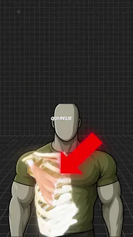Fait gaffe à ce détail parce qu’il est primordial #streetworkout #musculation #exercise #workoutmotivation #motivation 