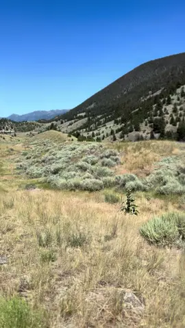 #country #cowboy #western #yellowstone #yellowstonetv