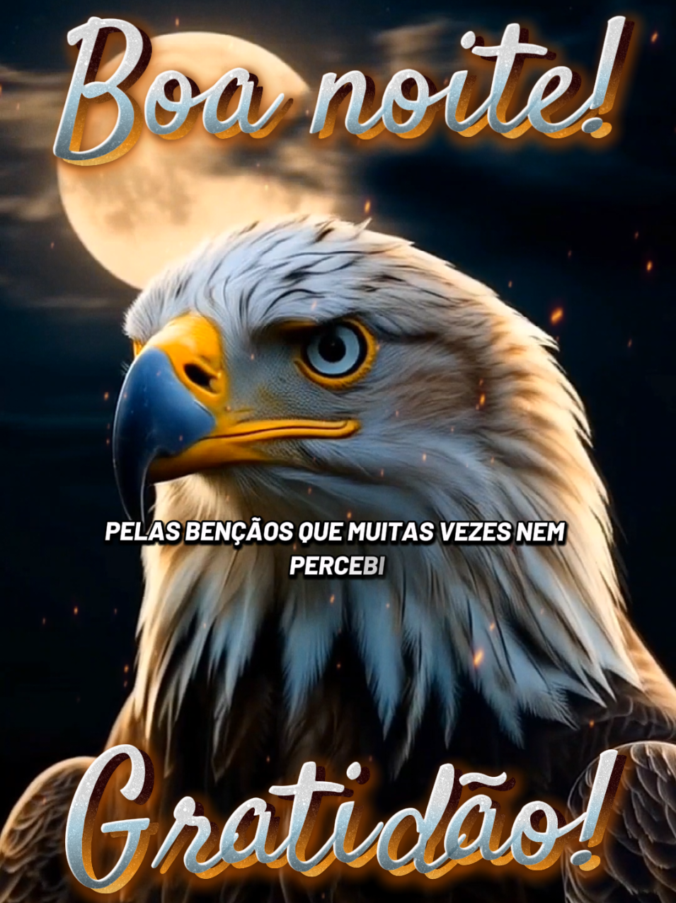 Finalizo minha noite com essa frase! Boa noite Deus!🙌🌕 #boanoite #oração #noiteabençoada #sabado #oraçãodanoite #gratidão #fé #motivação 