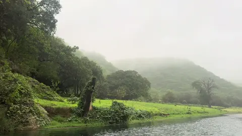 عُـمان - محافظة ظفار |  #foryou #salalah #fy #viral  