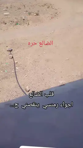 الضالع شموخ  #تحيا اهل بلادي الضالع 