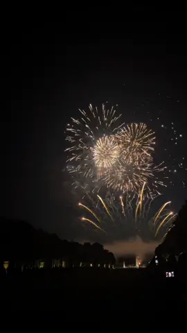 ⭐️⭐️#silentvoice #silentvoiceedit #silencevoiceanime #fireworks #fireworks2023 #fyp #pourtoii #fyp #viral #feuxdartifices 