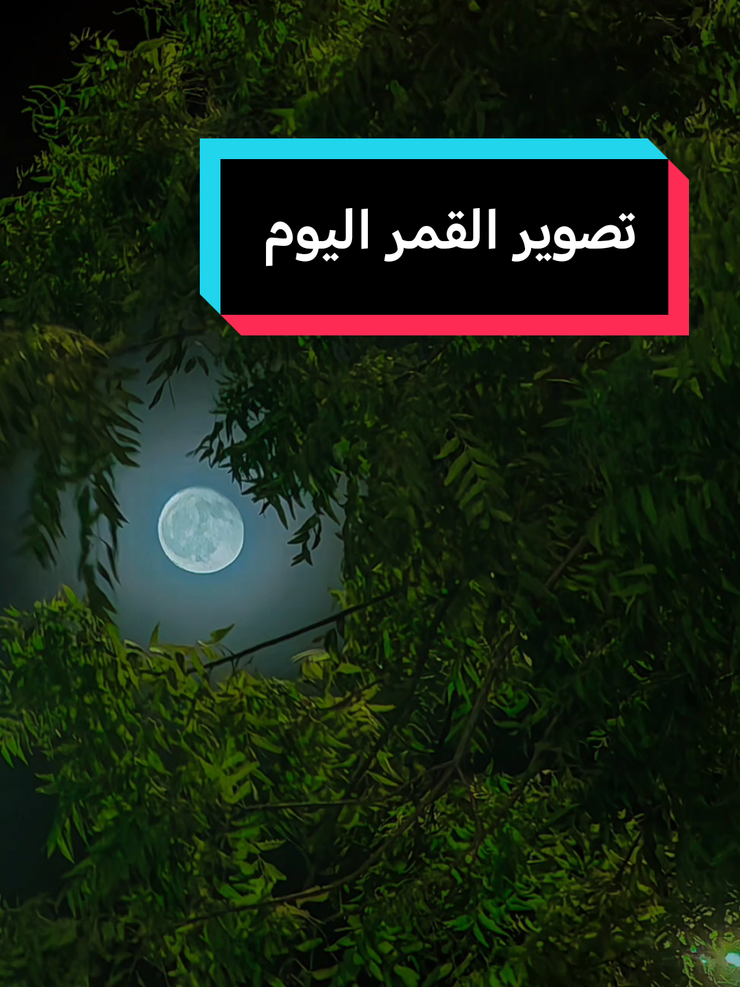 أجمل وقت لتصوير القمر بدون استخدام الذكاء الاصطناعي او أي دمج صورة طبيعية #اعدادات_هونر #المدينة_المنوره #كيف_اصور #تصويري #fypage #explore #اسرار_التصوير 