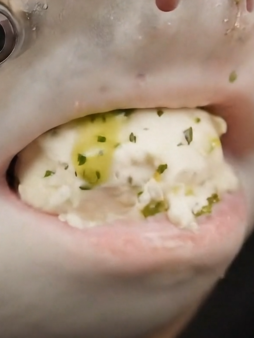 #asmr Creamy #asmrsounds 