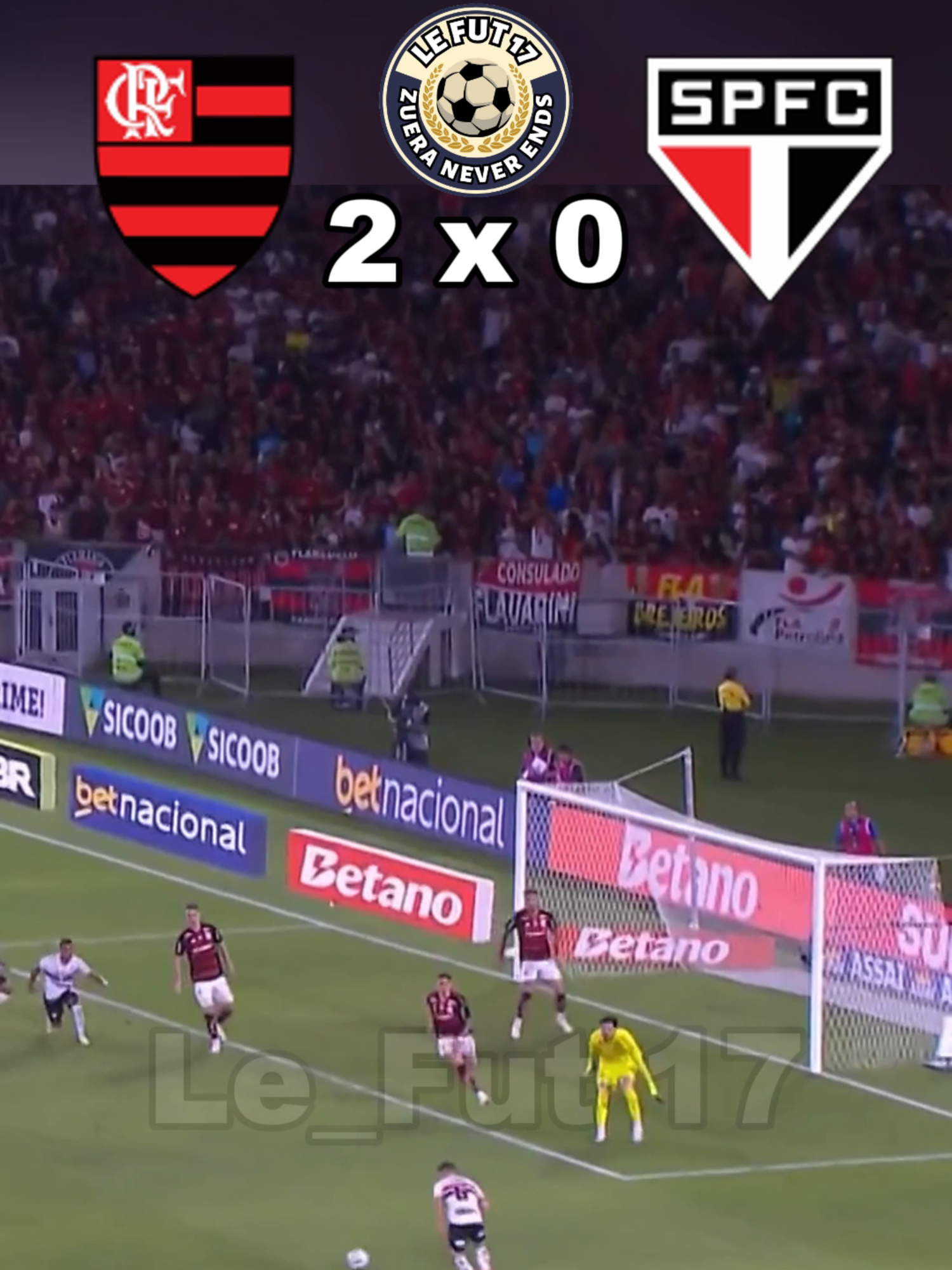 flamengo x sao paulo #flamengo #mengao #brasileirao #saopaulo #saopaulofc #tricolorpaulista #fut #futbol⚽️ #futeboldazueira #videoviral