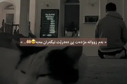تەنها دوعا بکە و بێئومێد مەبە لە رەحمی خوای گەورە🥰🥀. #سبحان_الله_وبحمده_سبحان_الله_العظيم #zina_frsat_goran #explore #استغفرالله_العظيم_واتوب_اليه🕋📿🤲🏼 #muslimtiktok #muslimtiktok #fypdongggggggg #fypage #التوبة #fypage 