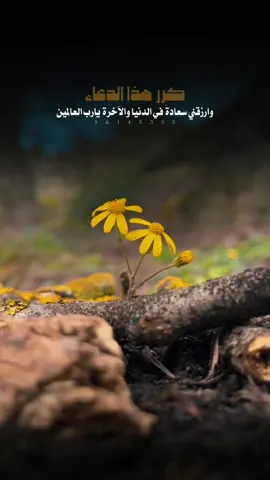 أجمعين يارب 🤲🤍