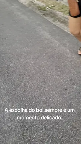 A escolha do boi sempre é um momento delicado. #garantido #caprichoso #qualteuboi #parintins #gemeos