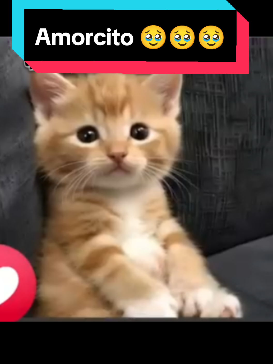 😅😅😅#humortiktok🤣😜😅😂🤪 #viraltiktok #humortiktok #amorcito😍 #amorcito #amorcito_lindo 