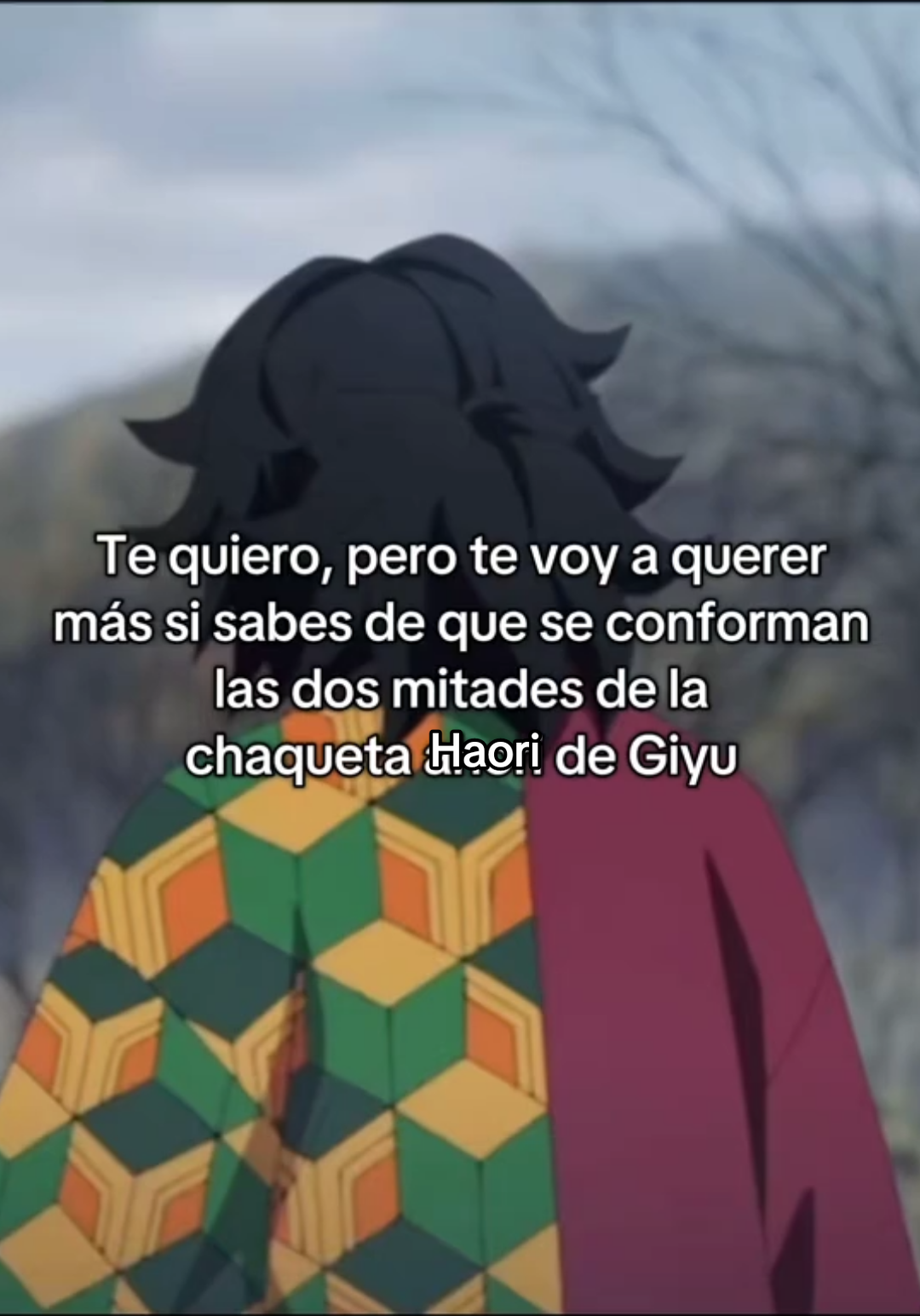 La mitad de su chaqueta Haori es un recuerdo de Sabito, la otra mitad era de su hermana, Tsutako que murió a manos de los demonios #Anime #demonslayer #kimetsunoyaiba #giyuutomioka #giyu #tomioka  #paratii  perdón por la falta ortográfica en el vídeo, no la noté 😭