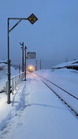 A snowy day in Japan
