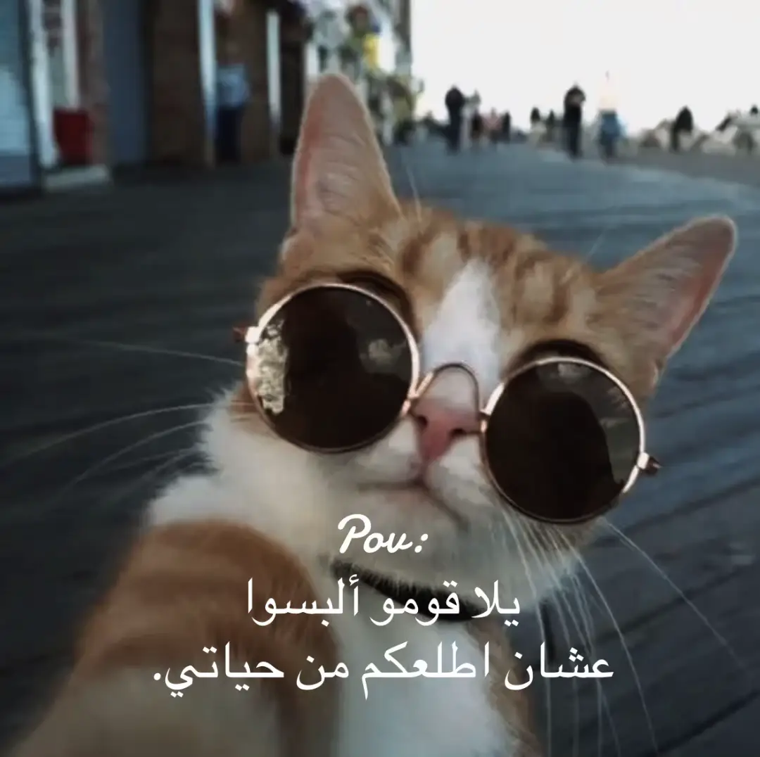 #الشعب_الصيني_ماله_حل😂😂  #ترندات  #اكسبلورexplore❥🤍 