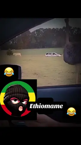 #viral#foryoupage#Ethiomame#foryoupage#ethiopian_tik_tok🇪🇹🇪🇹🇪🇹🇪🇹#viral#foryoupage