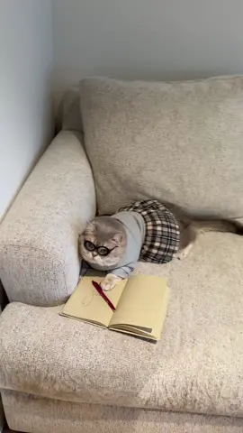 He indeed drew the fish 