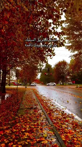 الفصول الاربعة #محرم #باسم_الكربلائي_رادود_ما_له_مثيل #كربلاء_مدينة_العشق_والعاشقين #اكسبلور 