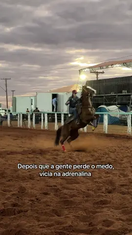 Megan e suas empinadinhas 🐆 #trestambores #cavalo #country #rodeio #agro #horse #cowgirl #esporte #haras #fazenda #rodeo 