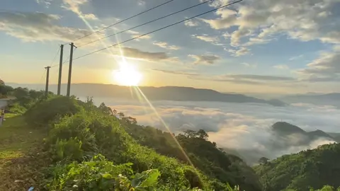 Nay ít người#đèoviolak 