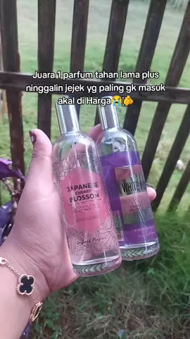 #parfum #viral #fypシ゚ #fyp 