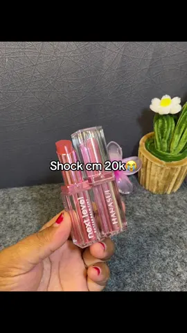 20k doang 😭#hanasui #lipstik #hanasuilipcream #lipstikmurah 