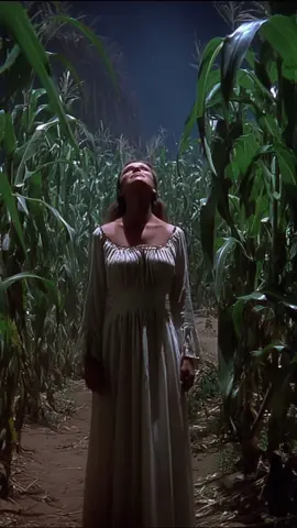 Curse #fantasy #darkfantasy #ai #nostalgia #nostalgic #horror #horrortok #fyp #foryou 