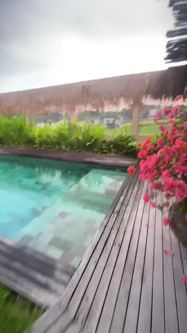 Bali c’est nul 👎  #business #bali #clipping  #RoomTour 