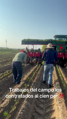 #parati #trabajosdecampo #mexico🇲🇽 #usa🇺🇸 #contratados🇲🇽 