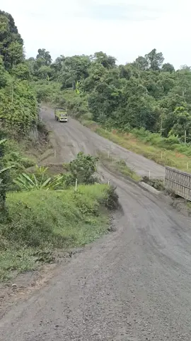 Pesona Turunan Rui#multitambangjayautama #haulingbatubarakalimantantengah #Haulingswalangkalteng 