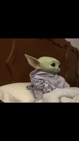 #الشعب_الصيني_ماله_حل😂😂 #f #fyp #foryou #ضحك😂 #الهاشتاقات_للرخوم #سهر #نوم 