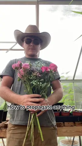 How to propagate flowers to save money #propagate #garden #moneysaving 