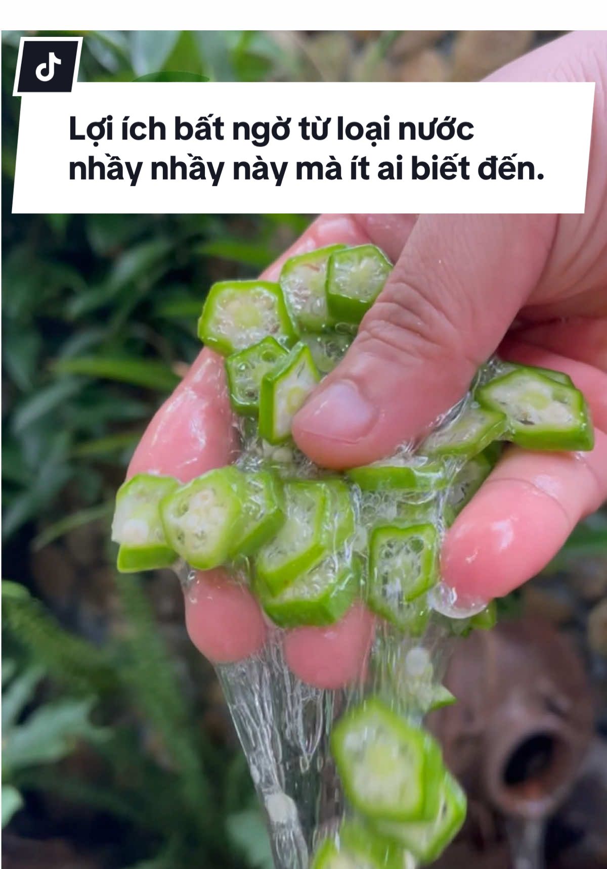 Lợi ích bất ngờ từ loại nước nhầy nhầy này mà ít ai biết đến.#duoclieuanthao #daubap #tieuhoa #daunhuc #monanbaithuoc 