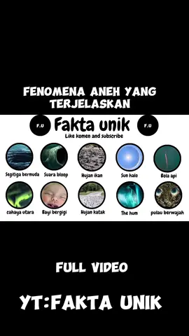 fenomena aneh yang terjelaskan  #faktaunik  #segitigabermuda  link youtube : https://youtu.be/lqf4A_O9ahk?si=C1SYEKEI1z5vHbMV