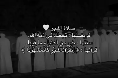 #الصلاه #وقران_الفجر_ان_قران_الفجر_كان_مشهودا #ماهرالمعيقلي 