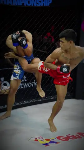 Danh Quốc 'McGregor' Việt Nam đá xoay hạ đối Đinh Trung Hiếu  thủ sau 23 giây #lionchampionship #mmavietnam #raptormma 