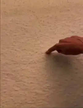 O=Omega                   ...                 ...        ...          ...           ...       ...         ...         ...      ...       ...      ...       ...        ...       ...        ...        ...   ...  ... #omega #car #fyp #edit #caredit 