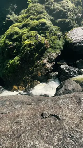 #foryou #fyp #bengkulu #waterfall #indonesia 