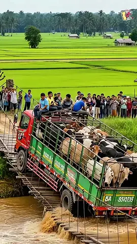 🚛 fall for into river#collapse #destruction #disaster #foryou #fyp 