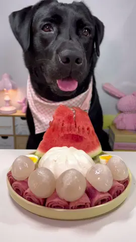#labrador #cute #dog #pet #feed 