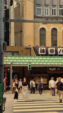 Klebus x Dumes x Jepang🫀🧠 #jawapride #lagujawa #klebus #playlist #sad #sadstory #japan #japanese #kuli #tki #kenshuseijapan🇮🇩🇯🇵🎌 #dumes #beranda #tokyo 