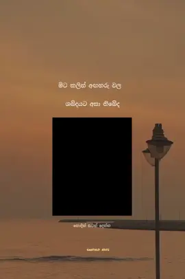 මෙය ඔබ මිට කලින් අසා තිබේද  😔 #creatorsearchinsights #1milion #likeaboss #trending #100k #foryou #fyyyyyyyyyyyyyyyyyyyyyyyyyyyyyyyyyyyyy 