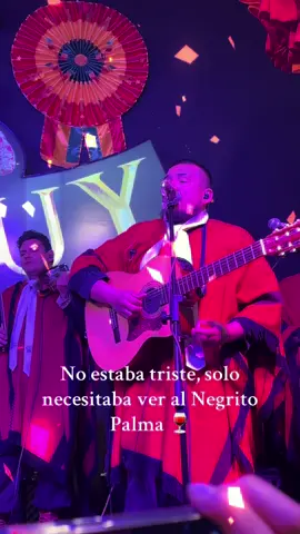 🍷💃🏻 #traicionera #negropalma #paraquequierotusbesostraicioneros #tarijabolivia🇧🇴 