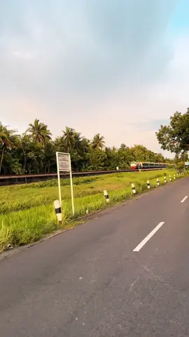 KA Gaya Baru Malam Selatan                                                                                           #RF #railfansindonesia #xbcyza #xbyzca #fyp #newgeneration #rf #fypシ #foryoupage #foryou #fyppppppppppppppppppppppp #keretaapiindonesia #beranda #daop6yogyakarta #kai #newgen #4u #bestvideo #live #fypp #cc206#railway#keretaapi#fy #surabaya #solo #kaiwisata #galeri#berandamu #berandafypシvirall #taksaka #fypdongggggggg #fypシ゚ #fyy #fouryou#jogja #jogja24jam#trend#bestvidio#live#vidio#kai#galeri#cc201