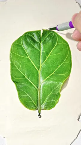 Turn over a new leaf—literally. 🍃✨ We pressed real leaves into clay, cast their veins and curves, then sealed the beauty forever in resin. Each piece captures nature’s perfect imperfections—no two alike. Bring a bit of the outdoors into your space, one leaf at a time. 🌿 Handmade. Organic. One-of-a-kind. 🛍️ Grab your tools and make your own — Prime Day deals are in full bloom at Resiners!