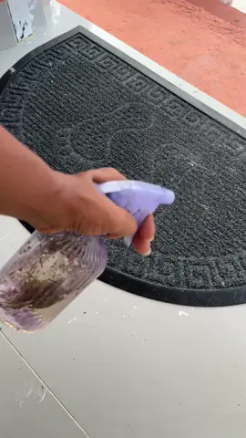 Solo echas un poco y no volverán.