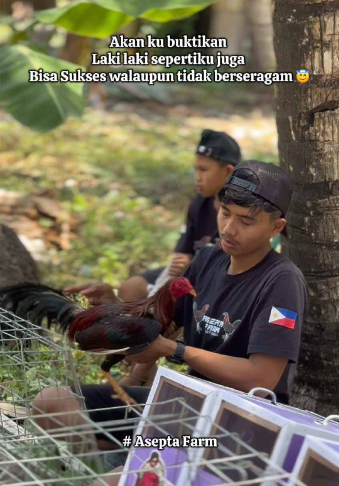 Aku hanya peternak ayam Nona 😅 yg bercita cita jadi bos muda 😆 #aseptafarm 