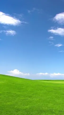 😭 #MemeCut #Meme  #theapothecarydiaries #theapothecarydiariesanime #theapothecarydiariesedit #maomao #jinshi #kusuriyanohitorigoto #kusuriyanohitorigotoanime #kusuriyanohitorigotoedit #kusuriyanohitorigotomanga #poison #mystery #manga #novel #lightnovel #anime #viral #random #video #tiktok #fyp #fypシ #fypシ゚viral #fypage #fyppppppppppppppppppppppp 