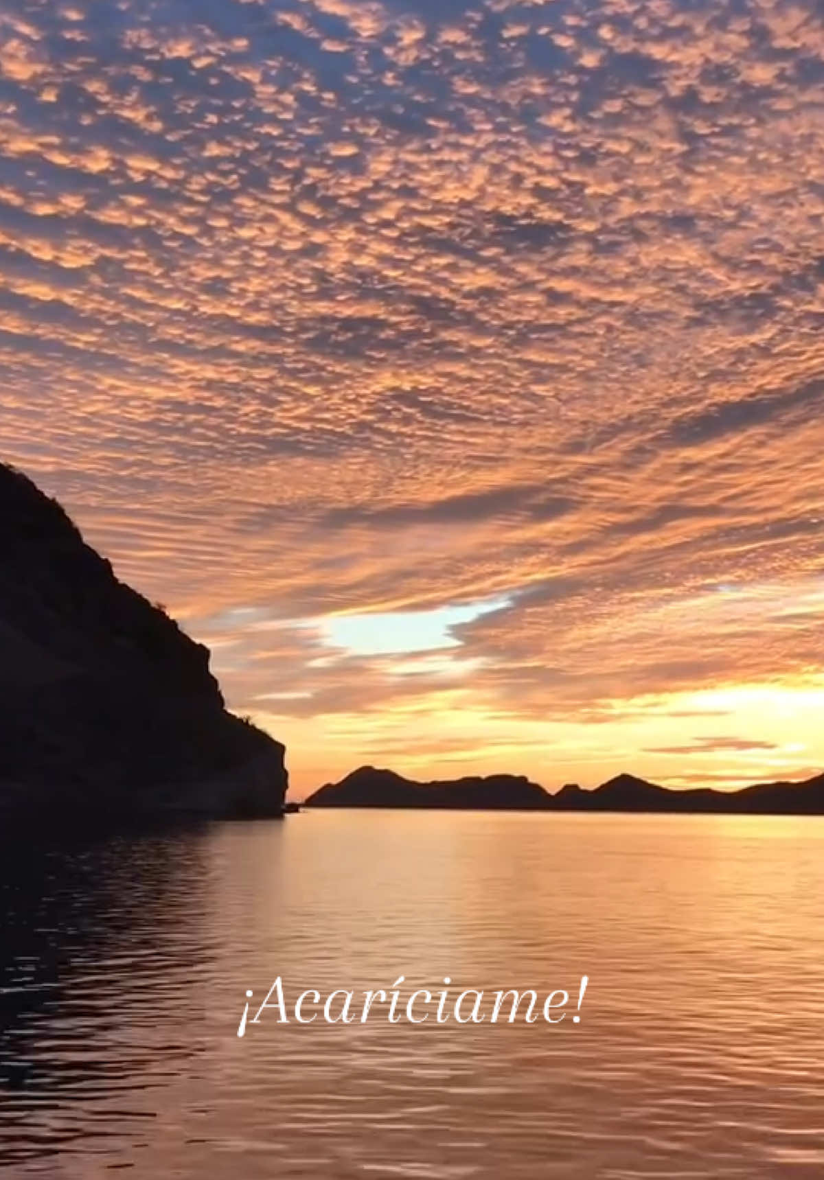 Acaríciame ✨🌊 María Conchita Alonso 1982 #acariciame #mentiras #mariaconchitaalonso #80s #80smusic #fyp #tiktok