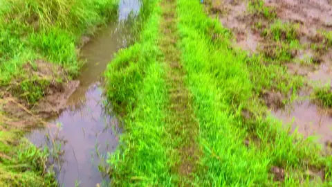 #پِنڈاں_آلے🥀👑 #میرا۔سوہنا۔پنڈ۔نیبوال۔ضلع۔پاکپتن۔شریف #foryoupageofficiall 