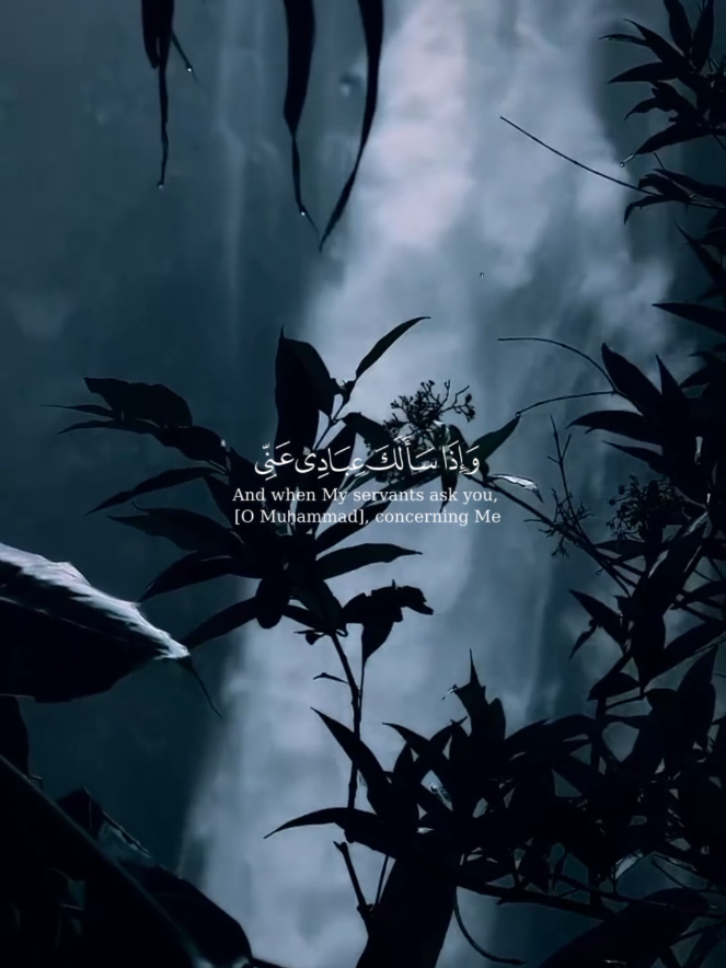 واذا سألك عبادي عني فإني قريب #اسلام_صبحي #اكتب_شي_توجر_عليه #تلوة_هادئة #راحه_نفسيه #ريح_سمعك_وقلبك_بالقرأن #اكسبلورexplore #fyp 