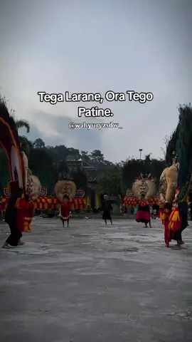 🪷🖤#storyreog #reogponorogo #reogponorogoindonesia #sedulurseni #jawapride #magetan24jam🔥 #psht #persaudaraansetiahatiterate 